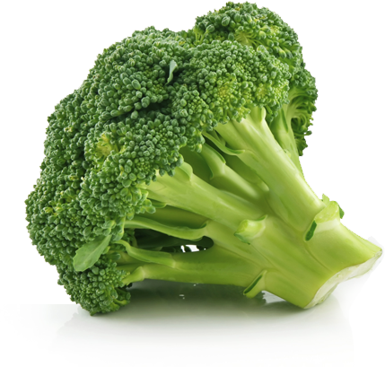 Broccolii